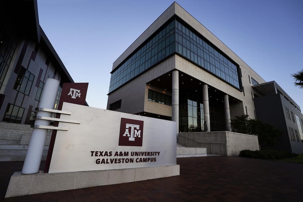 View of Texas A&amp;M Galveston Building